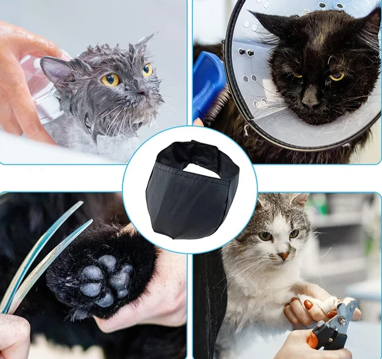 CalmiCat – Die beruhigende Lösung für gestresste Katzen