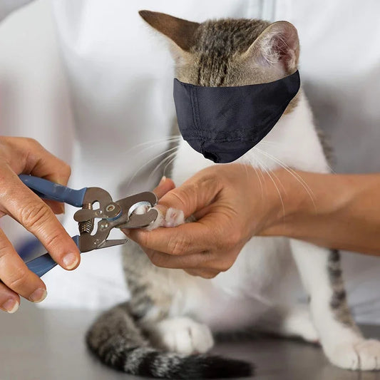 CalmiCat – Die beruhigende Lösung für gestresste Katzen